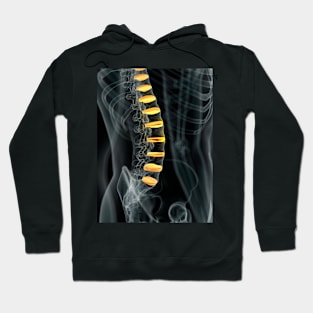 Human spinal intervertebral discs (F011/7098) Hoodie